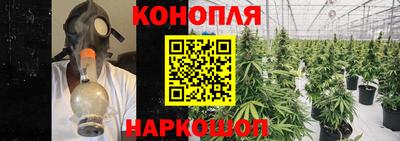 молекула духа Ливны