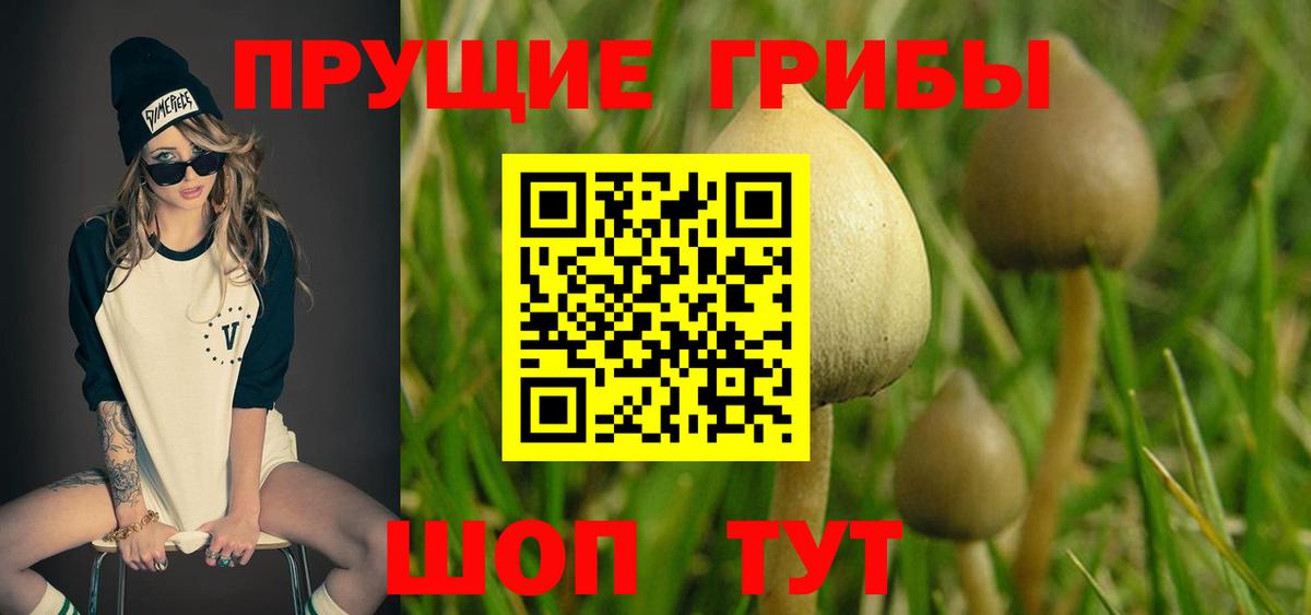 где купить наркотик  Псилоцибиновые грибы MAGIC MUSHROOMS  Вход с VPN  Бугуруслан 